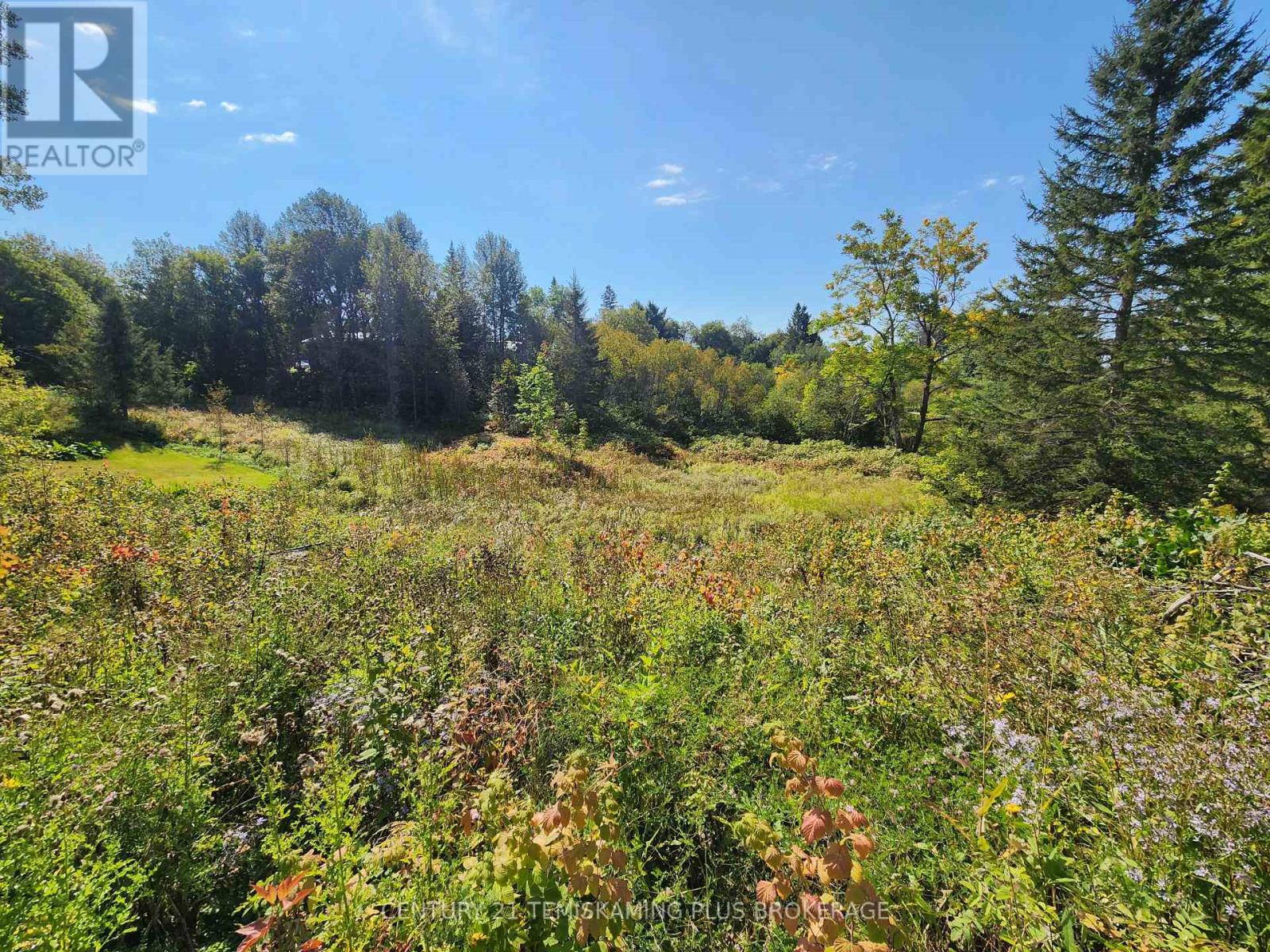 Lt 7-9 Main Street, Charlton And Dack, Ontario  P0J 1B0 - Photo 6 - T12275541