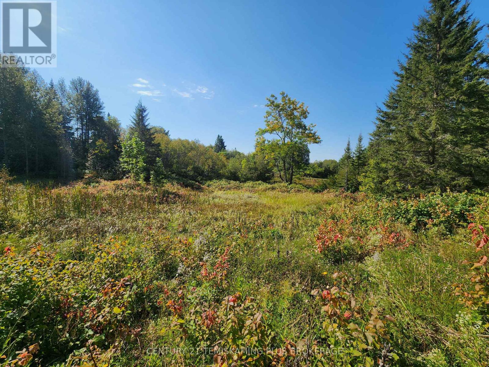 Lt 7-9 Main Street, Charlton And Dack, Ontario  P0J 1B0 - Photo 7 - T12275541