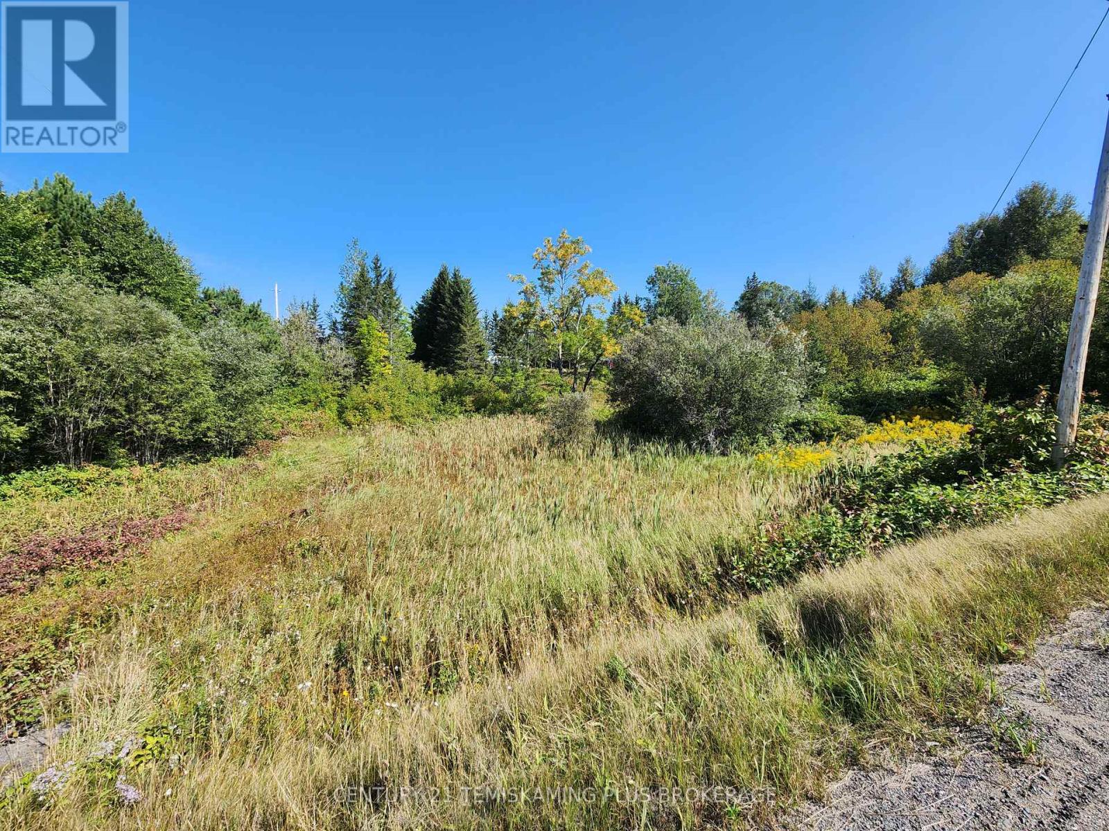 Lt10-12 Main Street, Englehart, Ontario  P0J 1B0 - Photo 10 - T12275547