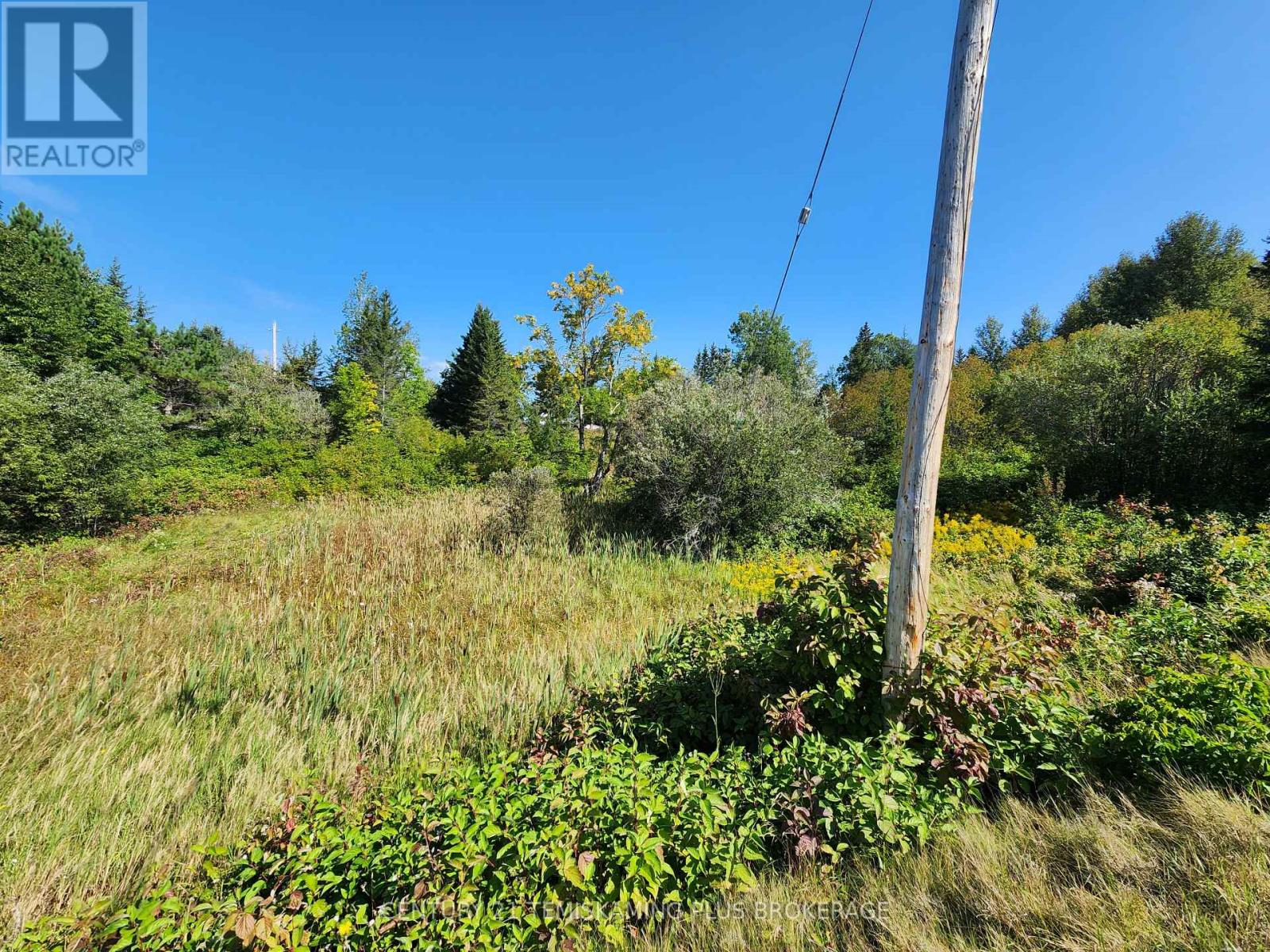 Lt10-12 Main Street, Englehart, Ontario  P0J 1B0 - Photo 11 - T12275547