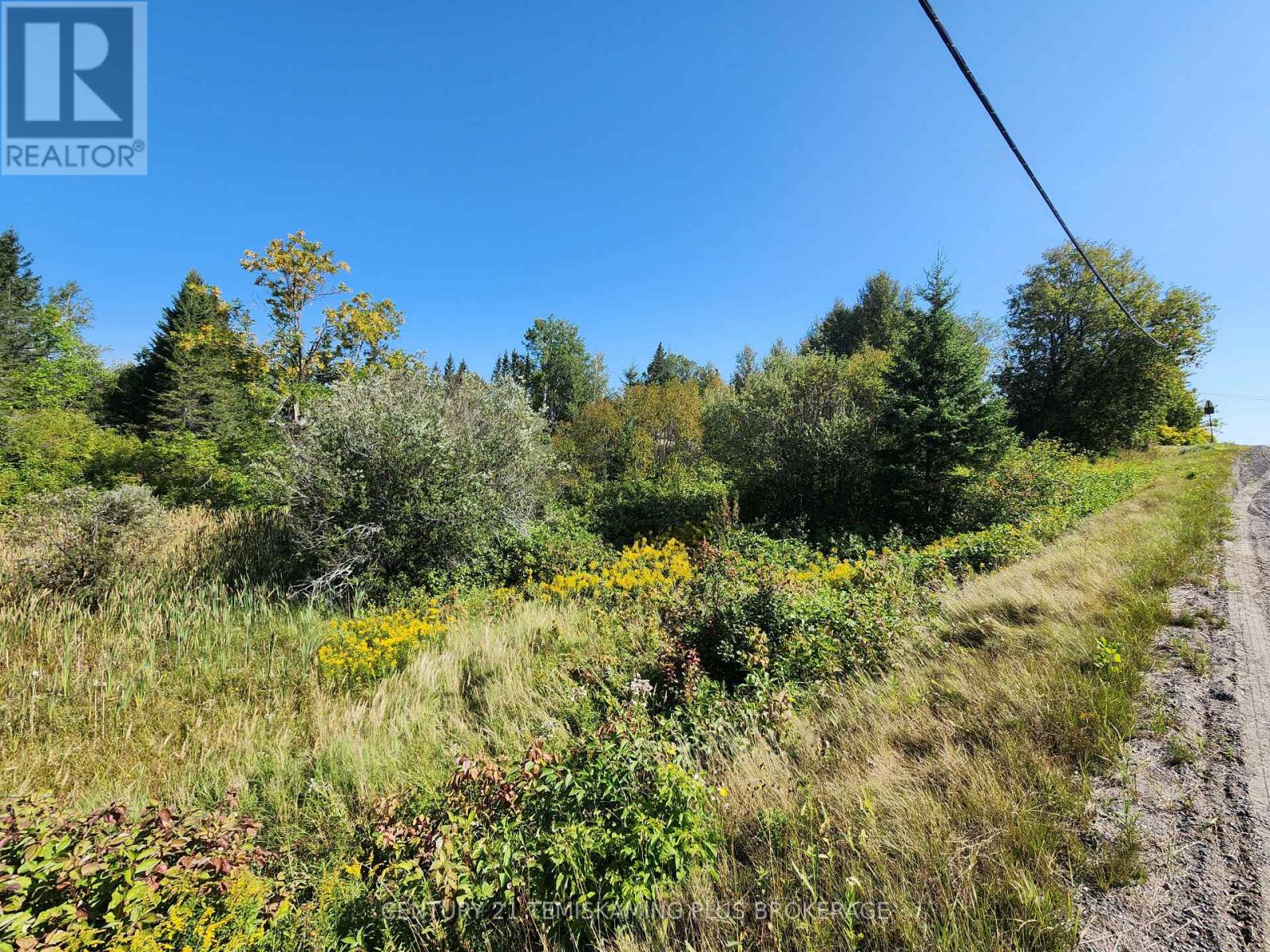 Lt10-12 Main Street, Englehart, Ontario  P0J 1B0 - Photo 12 - T12275547