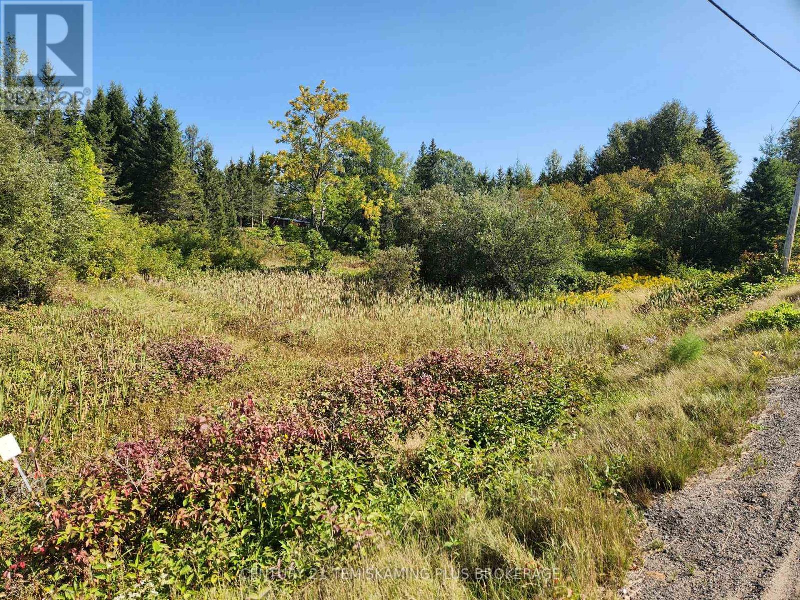 Lt10-12 Main Street, Englehart, Ontario  P0J 1B0 - Photo 8 - T12275547