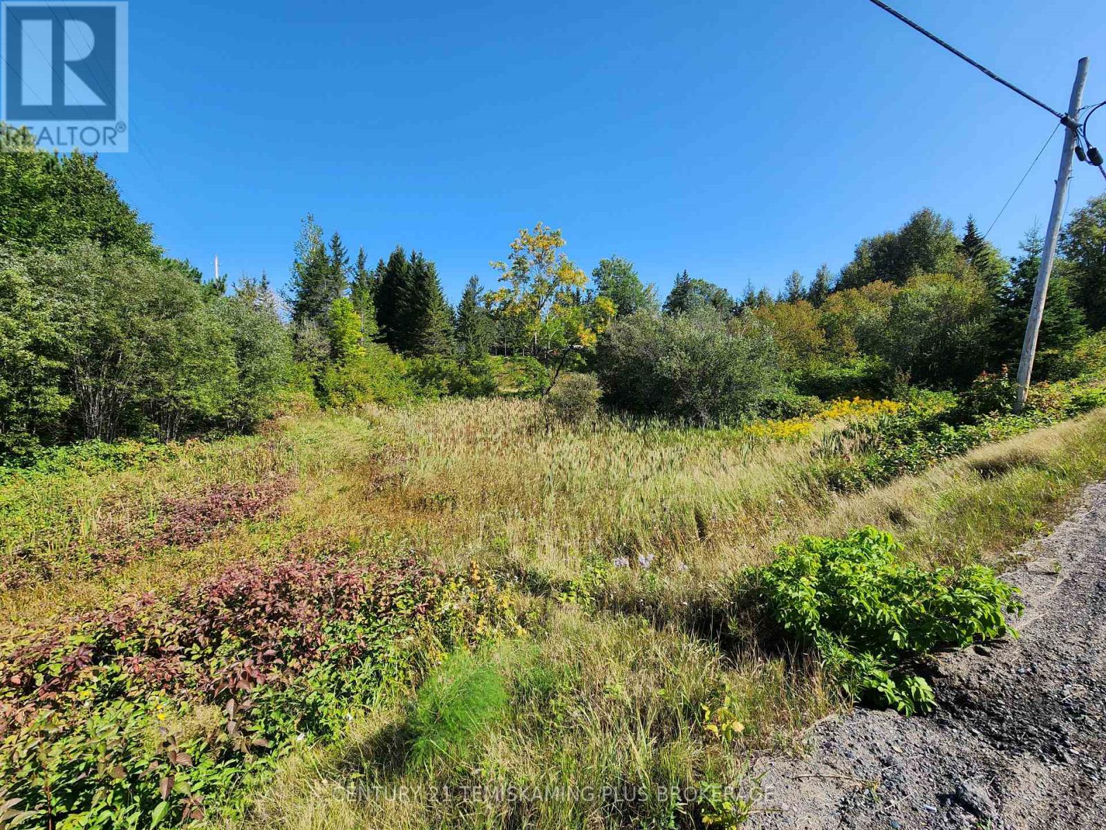 Lt10-12 Main Street, Englehart, Ontario  P0J 1B0 - Photo 9 - T12275547