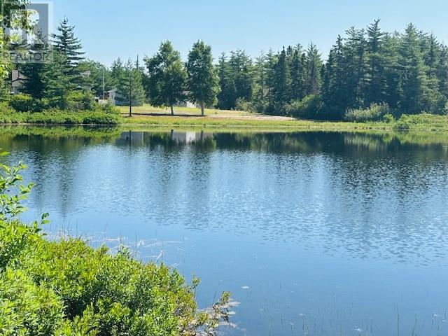 29 Lilly Brook Road, Terra Nova, Newfoundland & Labrador  A0C 1L0 - Photo 2 - 1287697