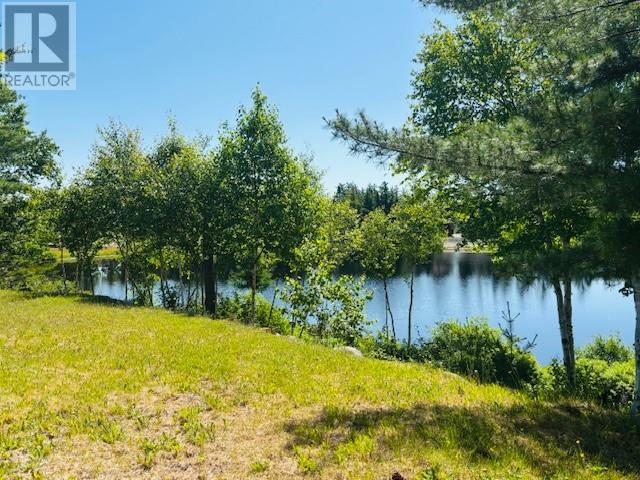 29 Lilly Brook Road, Terra Nova, Newfoundland & Labrador  A0C 1L0 - Photo 4 - 1287697