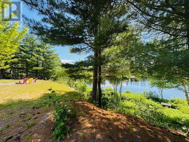29 Lilly Brook Road, Terra Nova, Newfoundland & Labrador  A0C 1L0 - Photo 43 - 1287697
