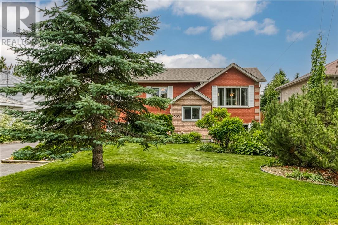 Property at 339 Ester Street image 1