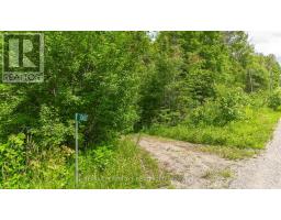 3068 MCLAUGHLIN ROAD, Whitewater Region, Ontario