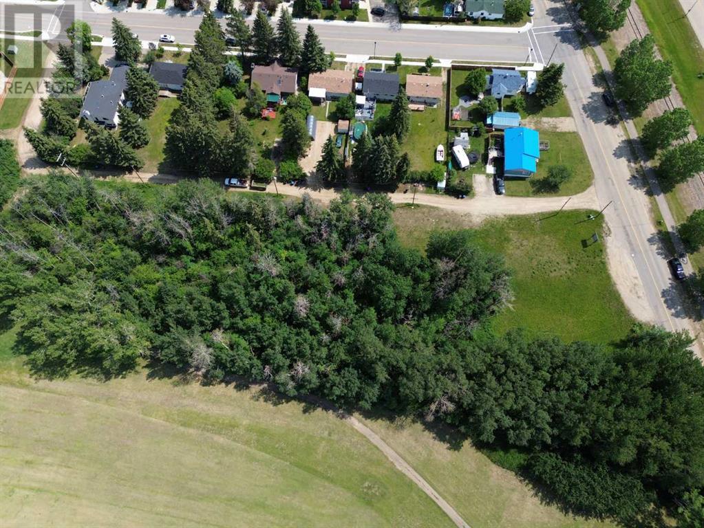5310 50 Avenue, Sylvan Lake, Alberta  T4S 1E7 - Photo 5 - A2183679