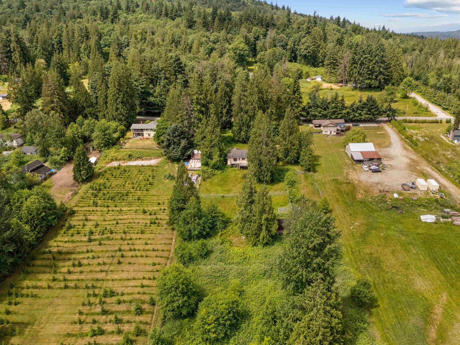 9338 Clay Street, Mission, British Columbia  V4S 1G2 - Photo 6 - R3015544