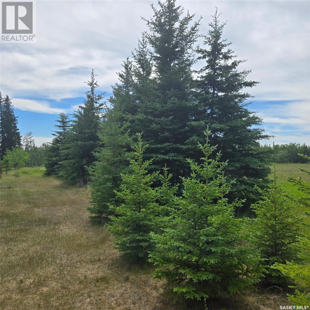 Shell Lake Private Trailer Park, Canwood Rm No. 494, Saskatchewan  S0J 2G0 - Photo 2 - SK012114
