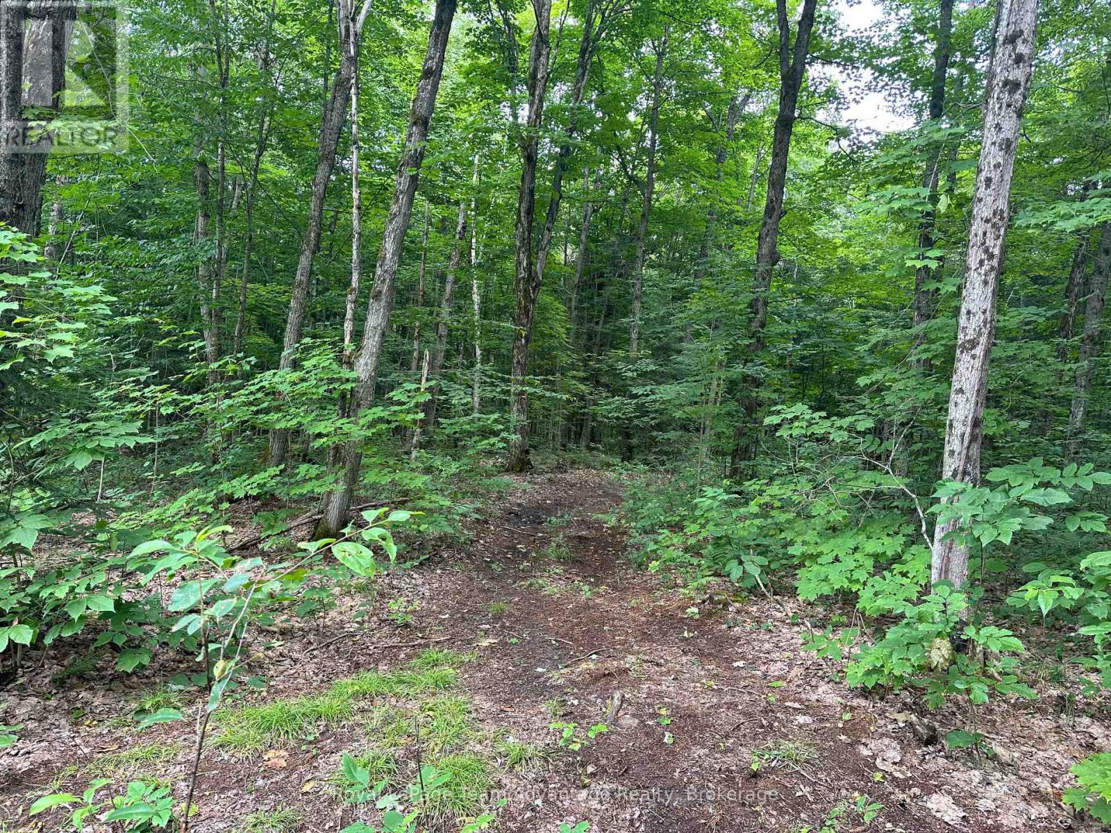 54 Woods Road, Carling, Ontario  P0G 1G0 - Photo 10 - X12275958