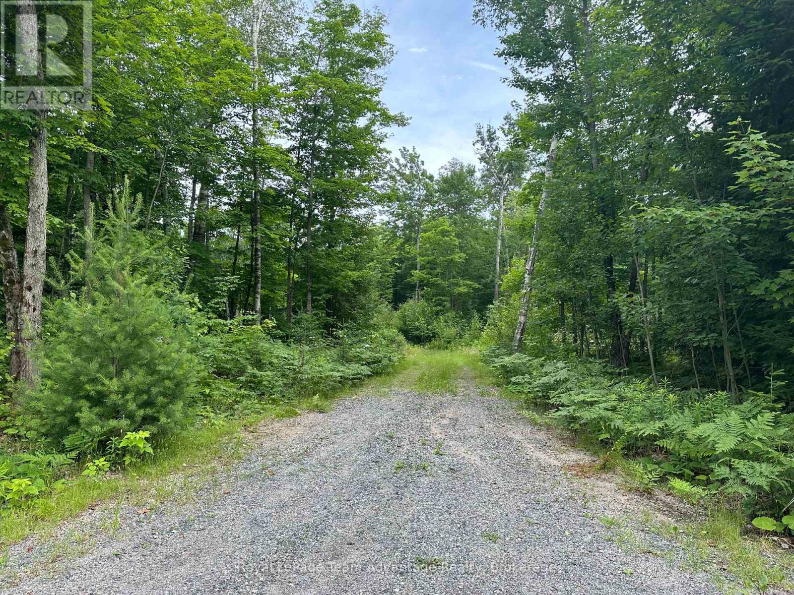 54 Woods Road, Carling, Ontario  P0G 1G0 - Photo 3 - X12275958
