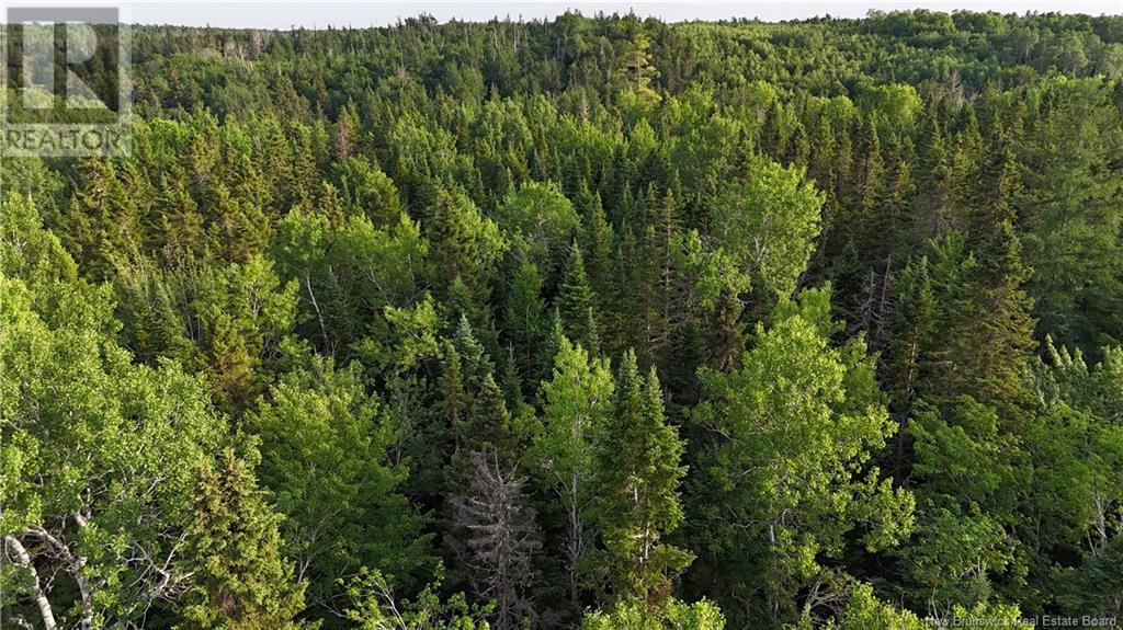 Lot 3 Murray Road, Smiths Corner, New Brunswick  E4T 1K8 - Photo 8 - NB121900