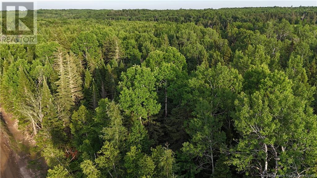 Lot 3 Murray Road, Smiths Corner, New Brunswick  E4T 1K8 - Photo 7 - NB121900