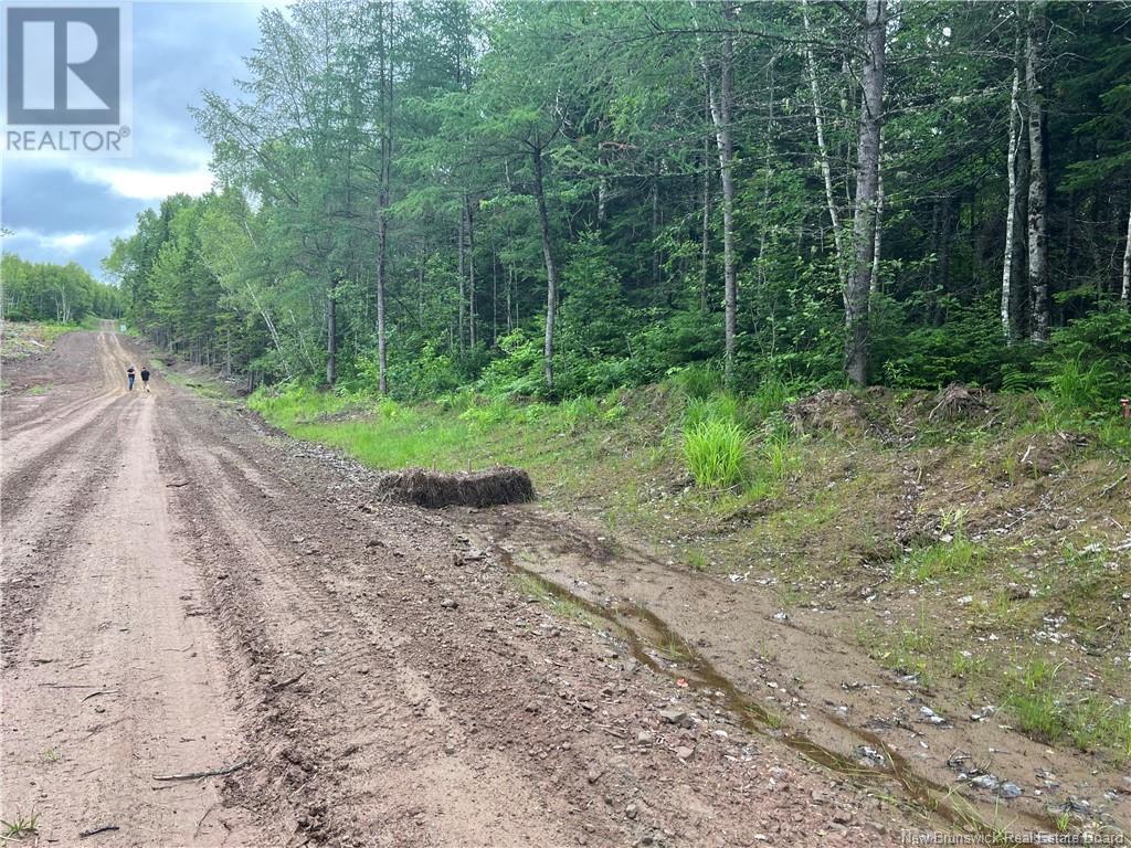 Lot 3 Murray Road, Smiths Corner, New Brunswick  E4T 1K8 - Photo 5 - NB121900