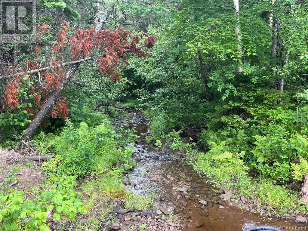 Lot 3 Murray Road, Smiths Corner, New Brunswick  E4T 1K8 - Photo 4 - NB121900