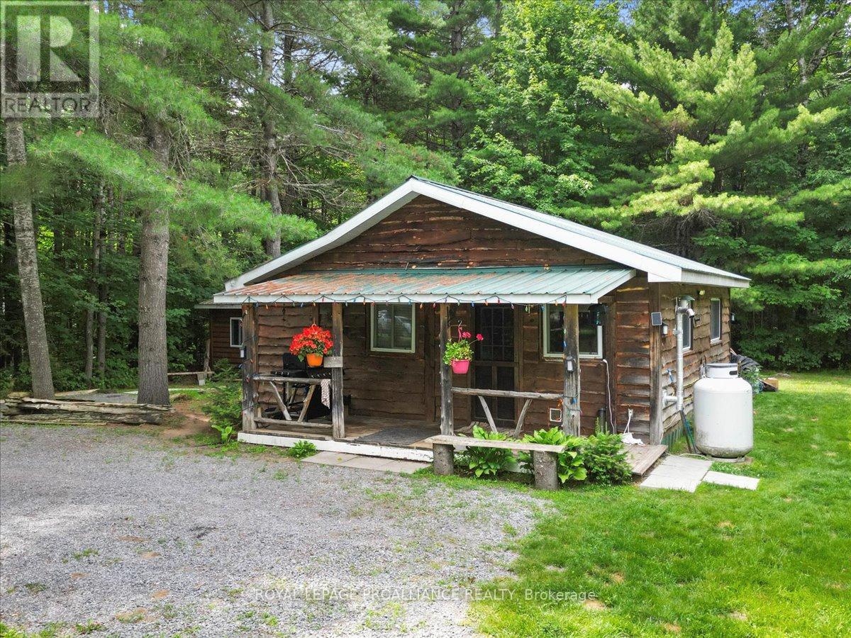 1151 Harlowe Road, North Frontenac, Ontario  K0H 2G0 - Photo 31 - X12276169