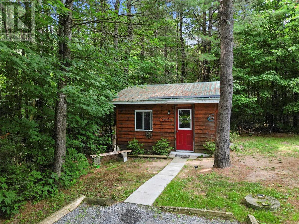 1151 Harlowe Road, North Frontenac, Ontario  K0H 2G0 - Photo 37 - X12276169