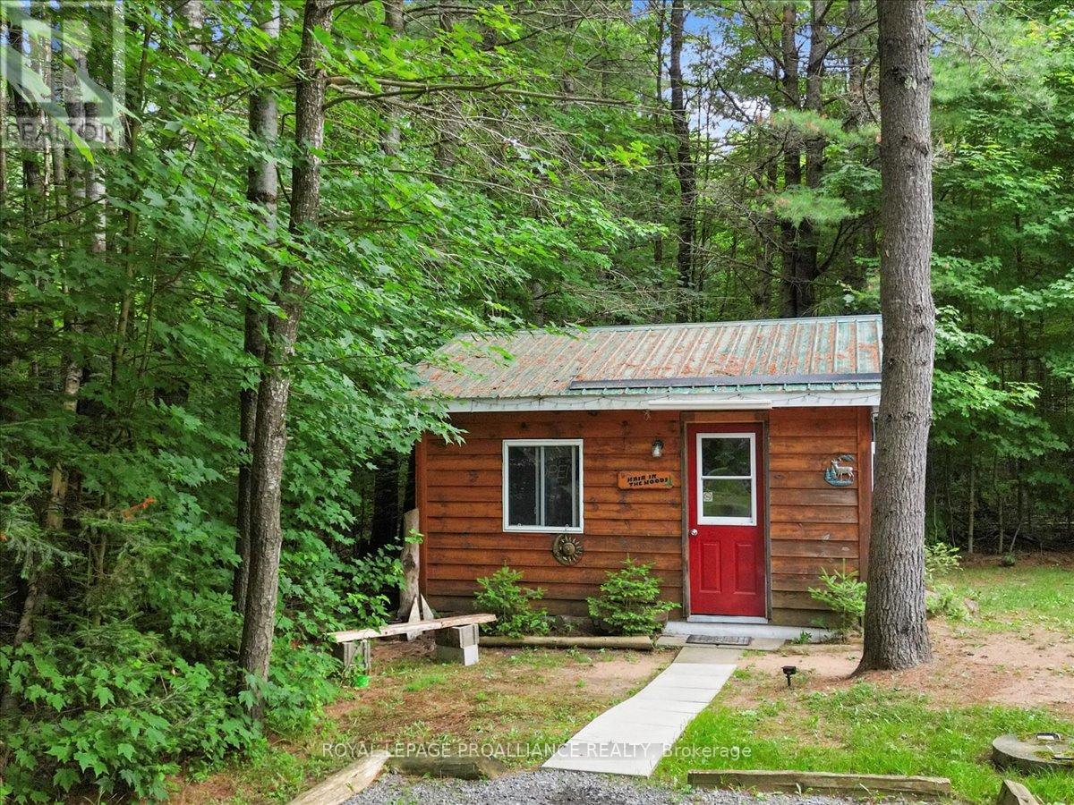 1151 Harlowe Road, North Frontenac, Ontario  K0H 2G0 - Photo 38 - X12276169