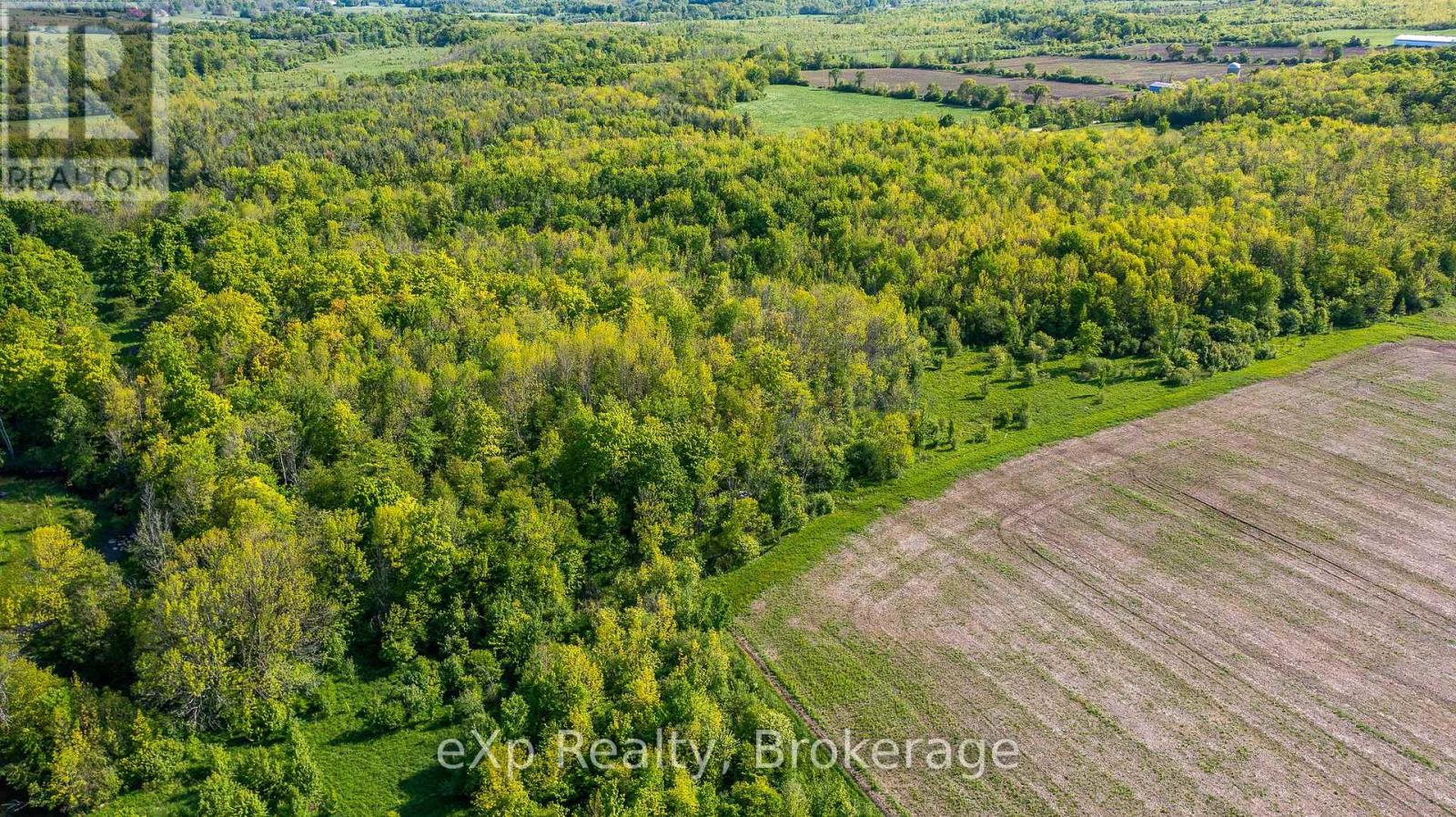 E 1/2 Lt 29-30 Con 4; Sideroad 30, Meaford, Ontario  N0H 1B0 - Photo 15 - X12089001
