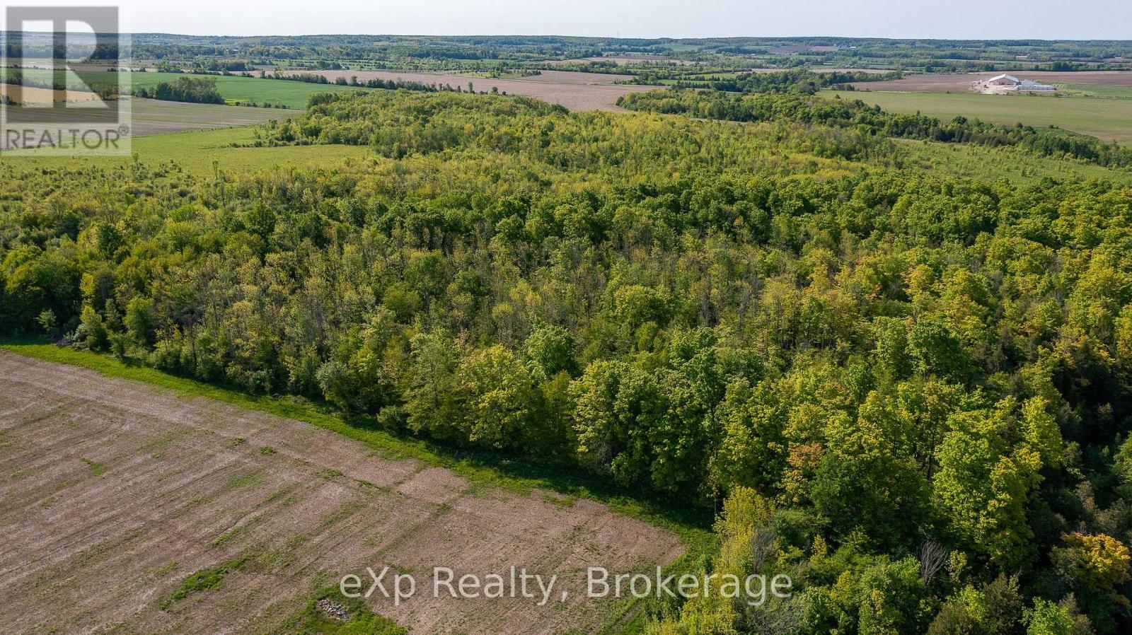 E 1/2 Lt 29-30 Con 4; Sideroad 30, Meaford, Ontario  N0H 1B0 - Photo 13 - X12089001
