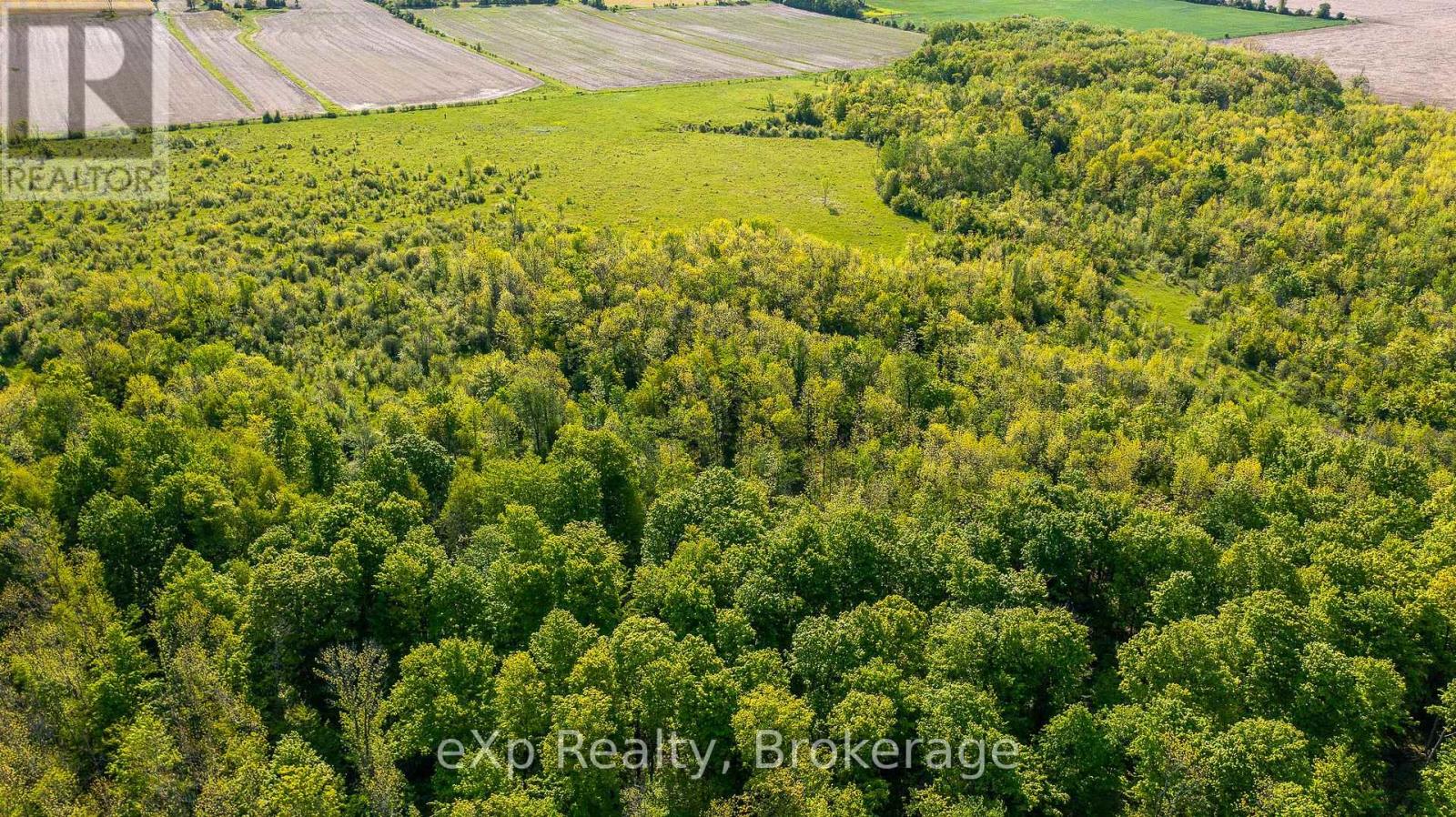 E 1/2 Lt 29-30 Con 4; Sideroad 30, Meaford, Ontario  N0H 1B0 - Photo 18 - X12089001