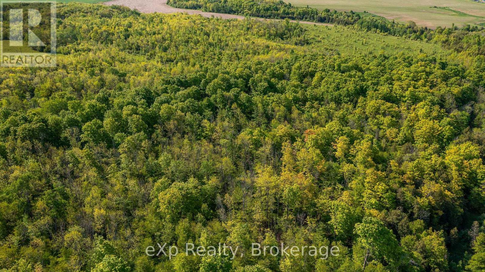 E 1/2 Lt 29-30 Con 4; Sideroad 30, Meaford, Ontario  N0H 1B0 - Photo 16 - X12089001