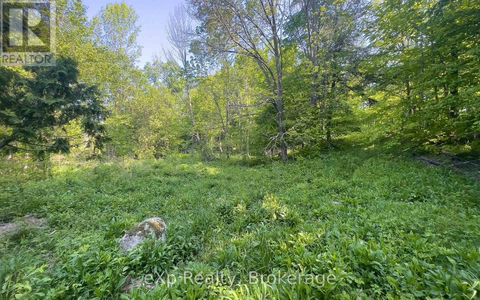 E 1/2 Lt 29-30 Con 4; Sideroad 30, Meaford, Ontario  N0H 1B0 - Photo 35 - X12089001