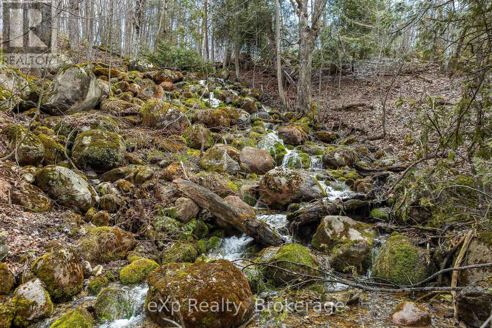 Ptlt 29 Con 1s, St. Vincent-Sydenham Townline, Meaford, Ontario  N0H 1B0 - Photo 4 - X12089013