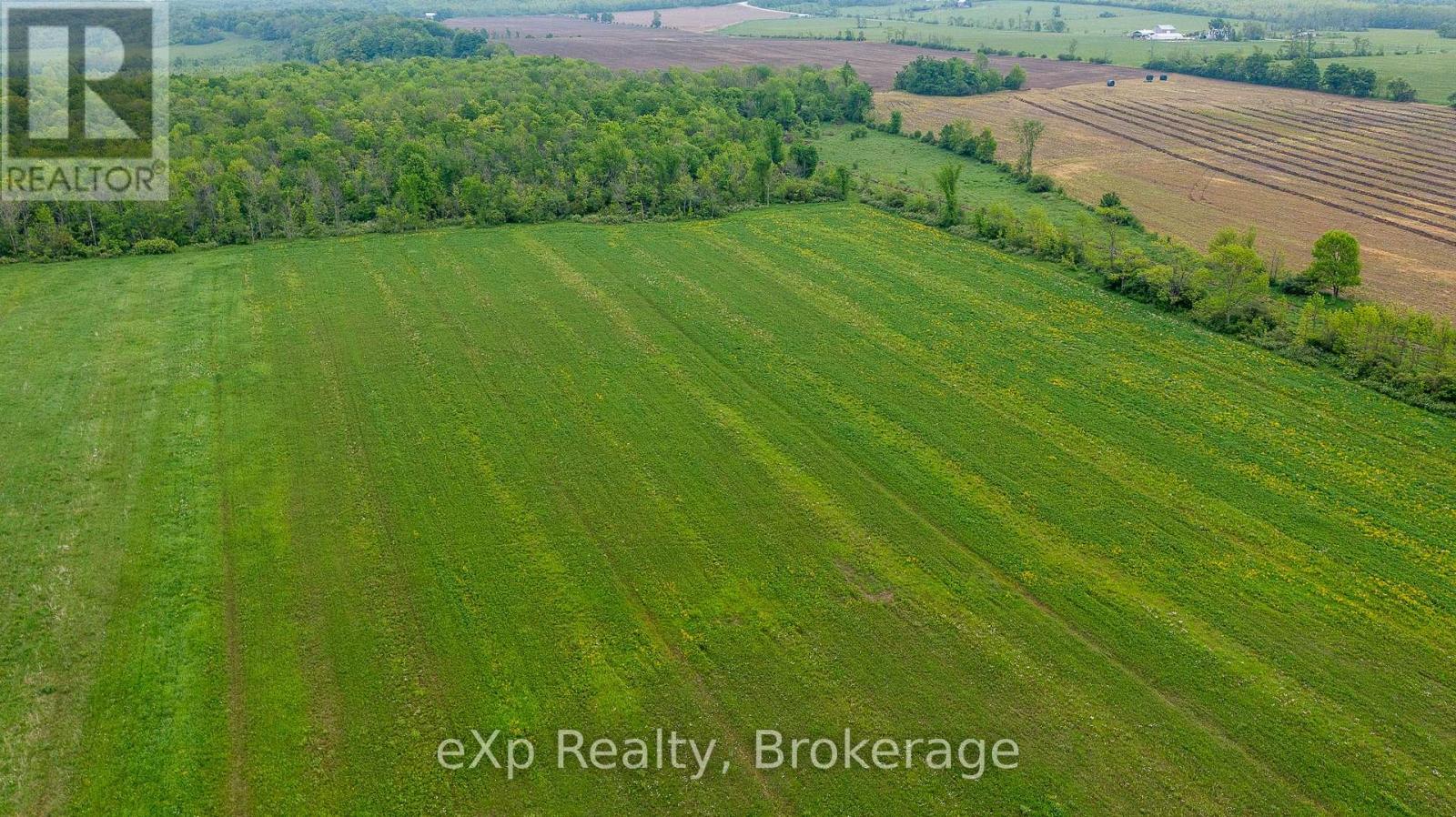 Ptlt 29 Concession Rd 2 N, Meaford, Ontario  N0H 1B0 - Photo 13 - X12089028