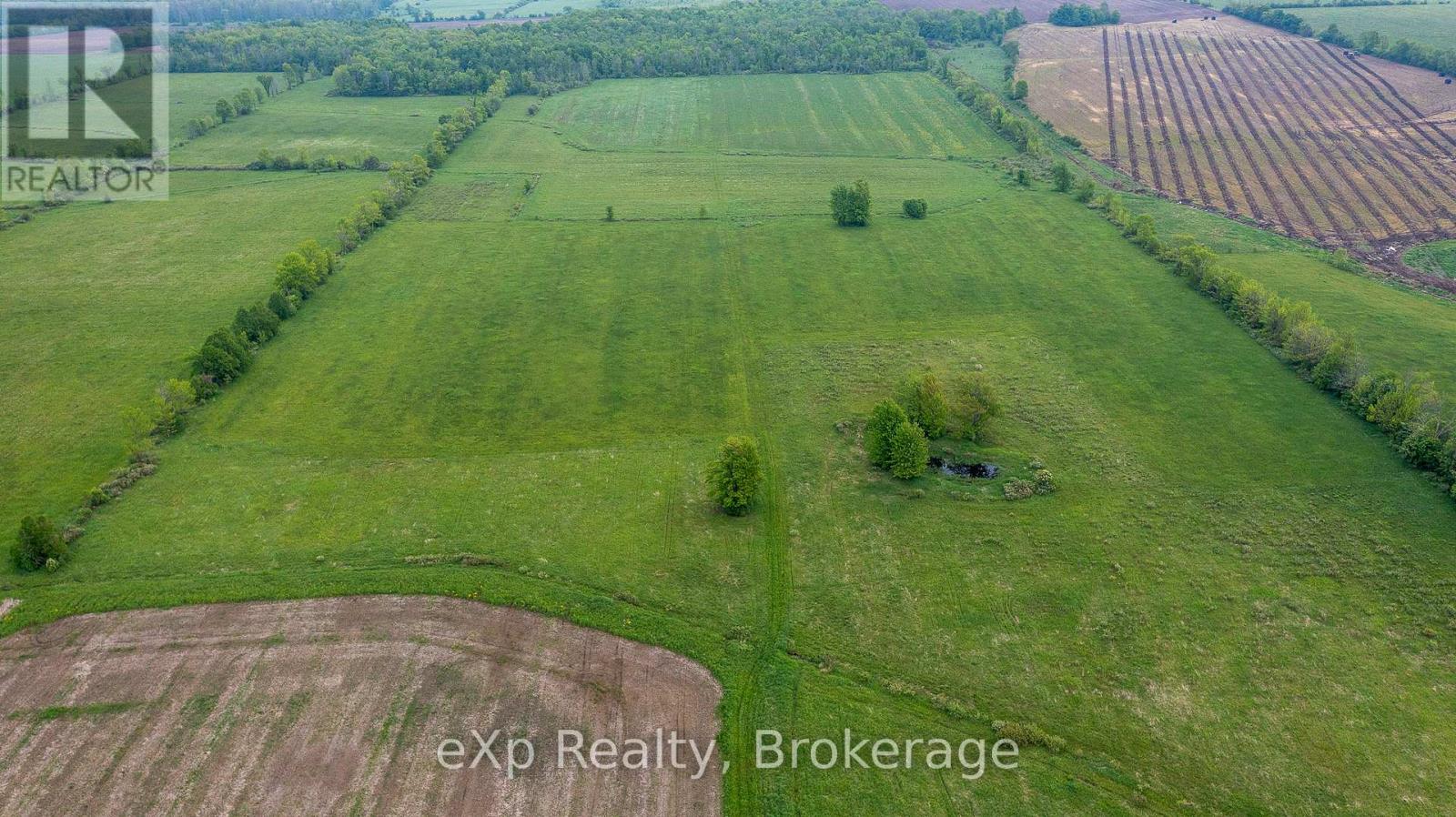 Ptlt 29 Concession Rd 2 N, Meaford, Ontario  N0H 1B0 - Photo 6 - X12089028