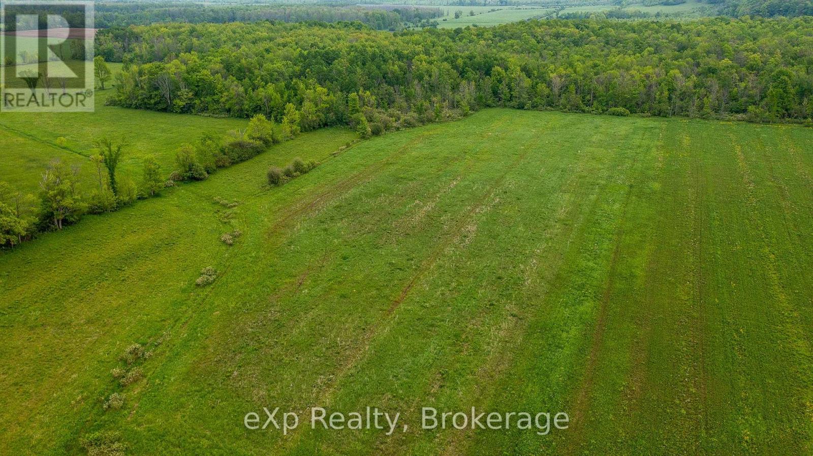 Ptlt 29 Concession Rd 2 N, Meaford, Ontario  N0H 1B0 - Photo 14 - X12089028