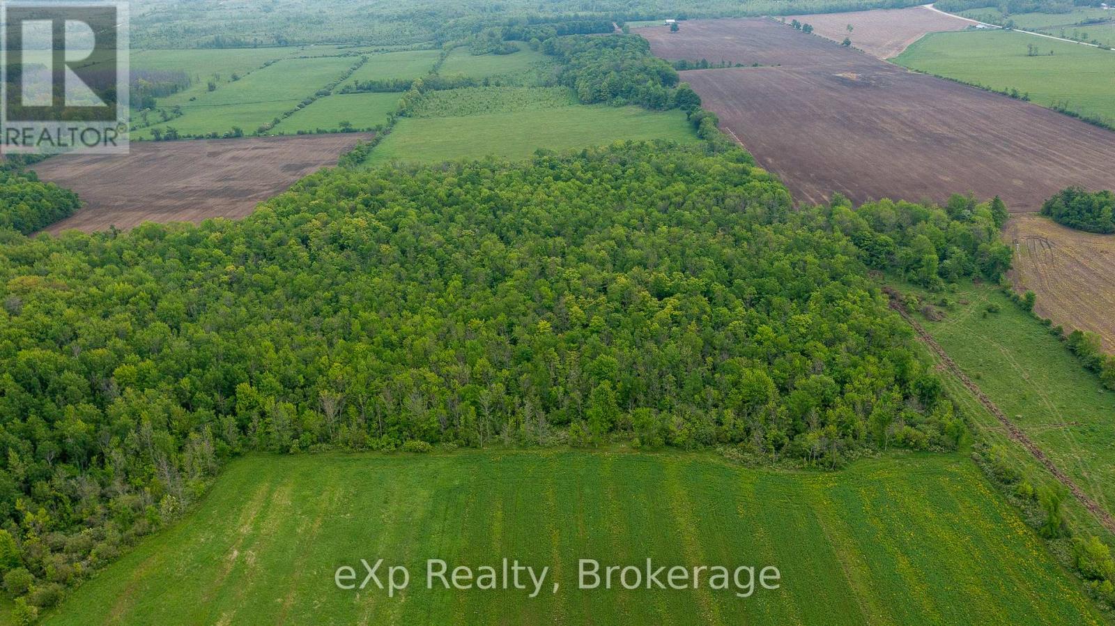 Ptlt 29 Concession Rd 2 N, Meaford, Ontario  N0H 1B0 - Photo 10 - X12089028