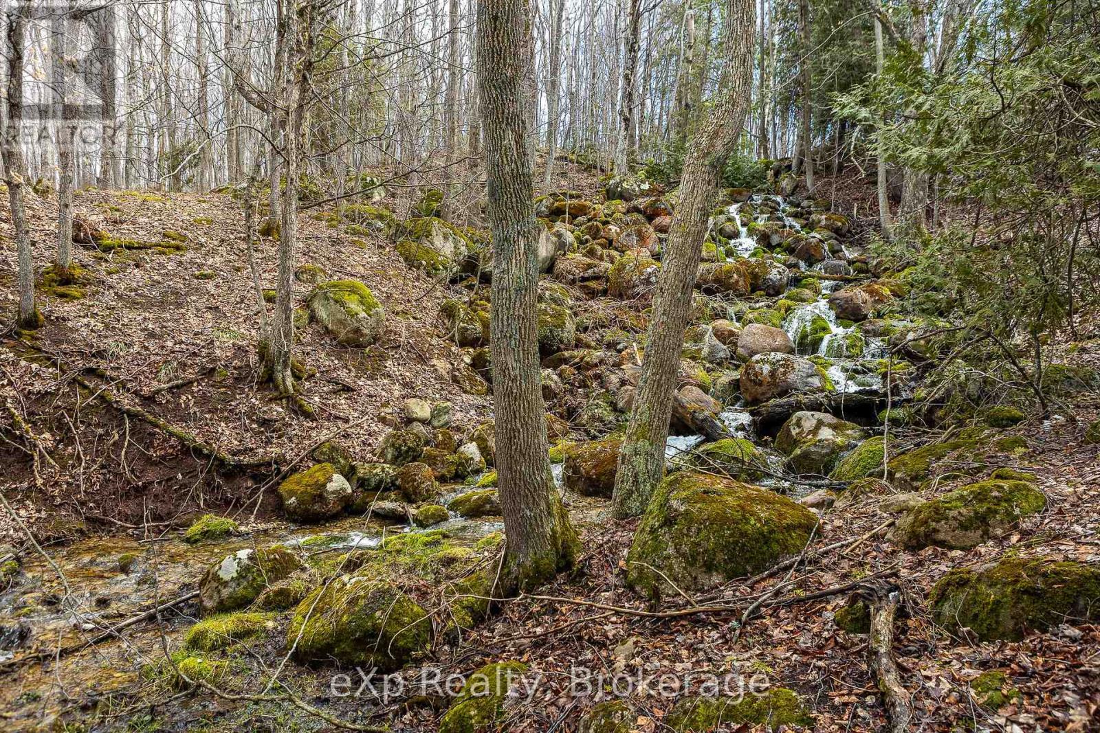 Ptlt 29 Con 1s, St. Vincent-Sydenham Townline, Meaford, Ontario  N0H 1B0 - Photo 6 - X12089013
