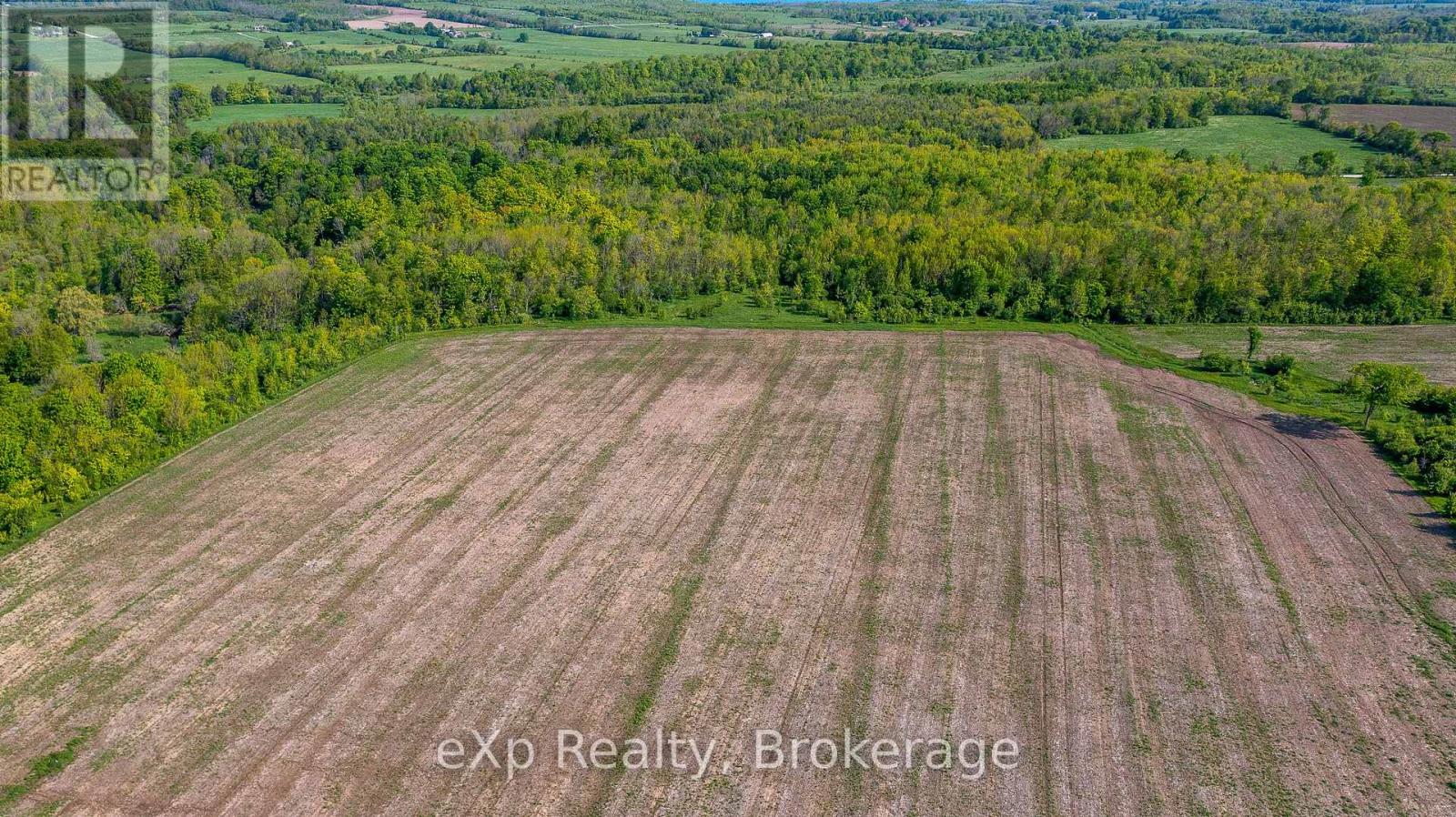 E 1/2 Lt 29-30 Con 4; Sideroad 30, Meaford, Ontario  N0H 1B0 - Photo 25 - X12089001