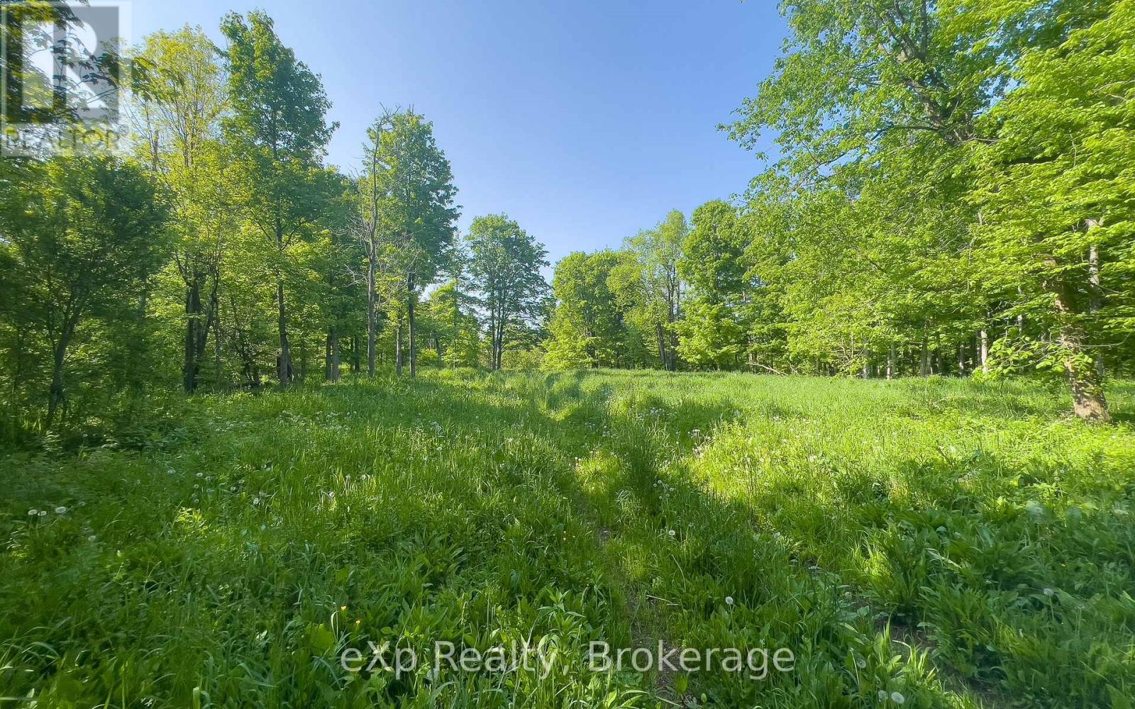 E 1/2 Lt 29-30 Con 4; Sideroad 30, Meaford, Ontario  N0H 1B0 - Photo 31 - X12089001