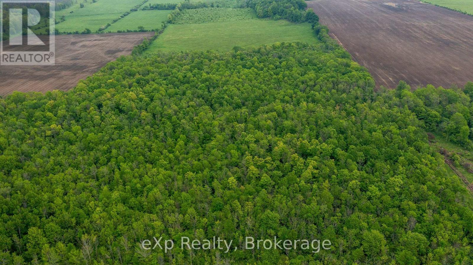 Ptlt 29 Concession Rd 2 N, Meaford, Ontario  N0H 1B0 - Photo 27 - X12089028