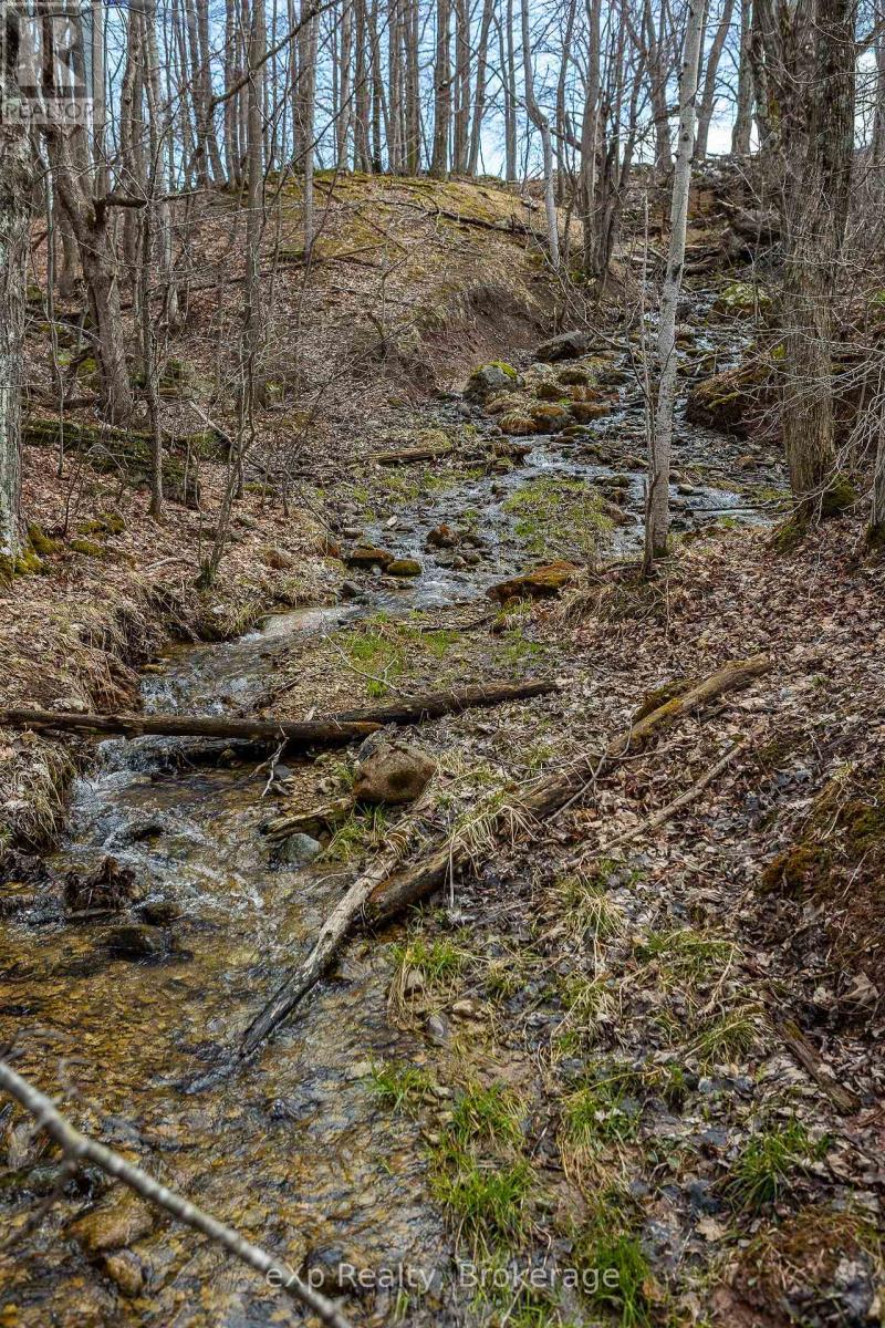 Ptlt 29 Con 1s, St. Vincent-Sydenham Townline, Meaford, Ontario  N0H 1B0 - Photo 7 - X12089013