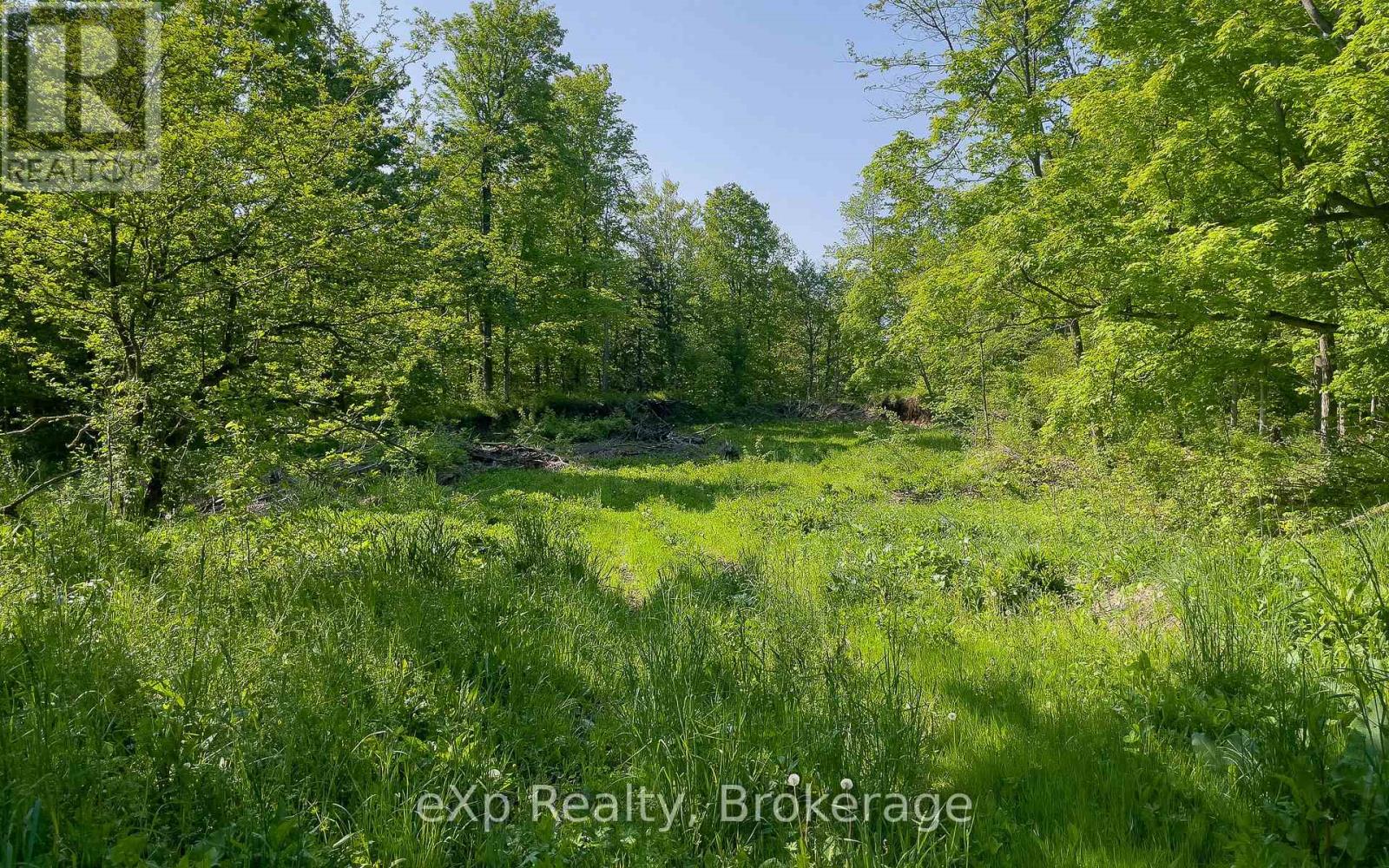 E 1/2 Lt 29-30 Con 4; Sideroad 30, Meaford, Ontario  N0H 1B0 - Photo 32 - X12089001