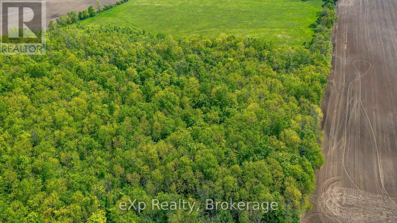 Ptlt 29 Con 1s, St. Vincent-Sydenham Townline, Meaford, Ontario  N0H 1B0 - Photo 10 - X12089013