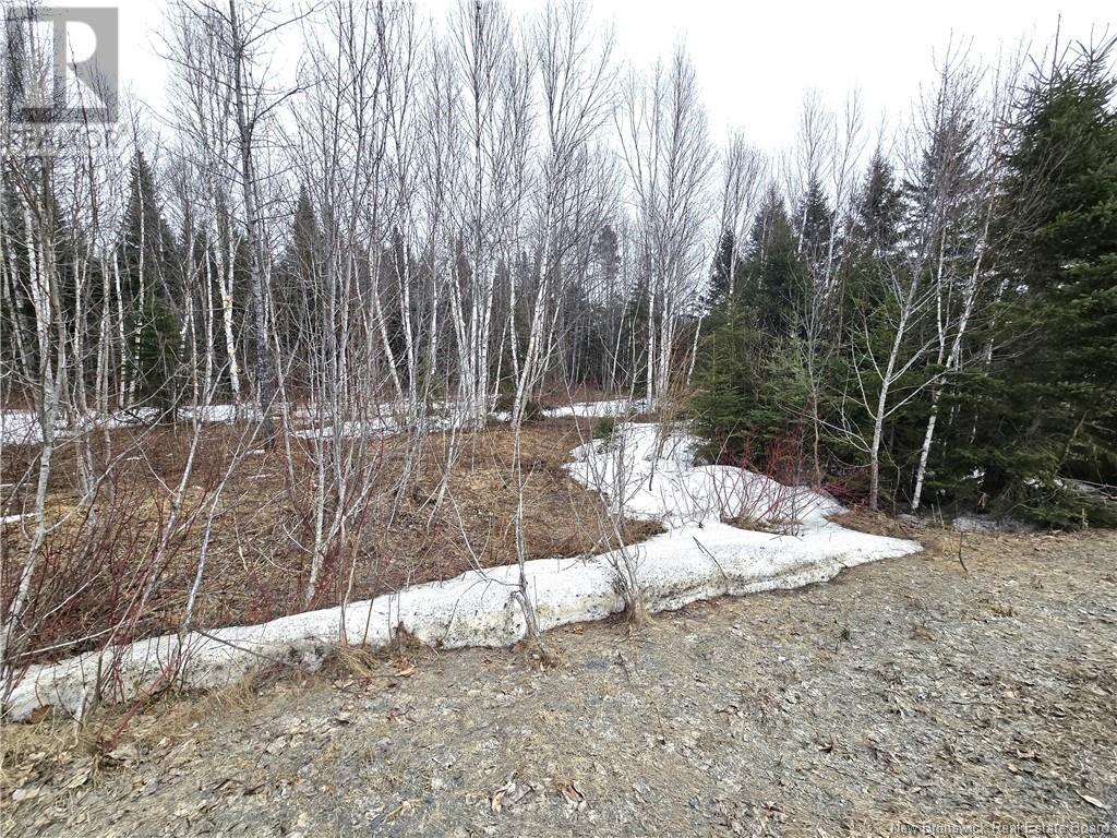 4e Avenue, Clair, New Brunswick  E7A 2B2 - Photo 11 - NB113604
