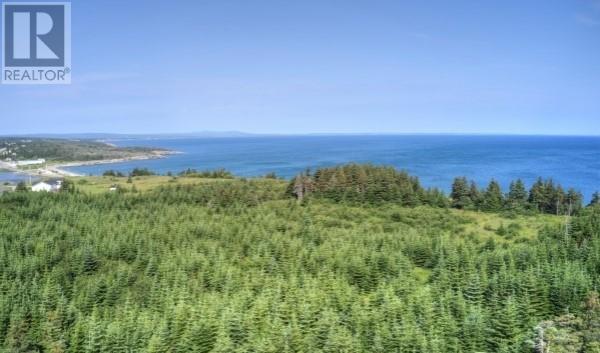 3 Philpotts Lane, Port Au Port East, Newfoundland & Labrador  A0N 1T0 - Photo 5 - 1287679
