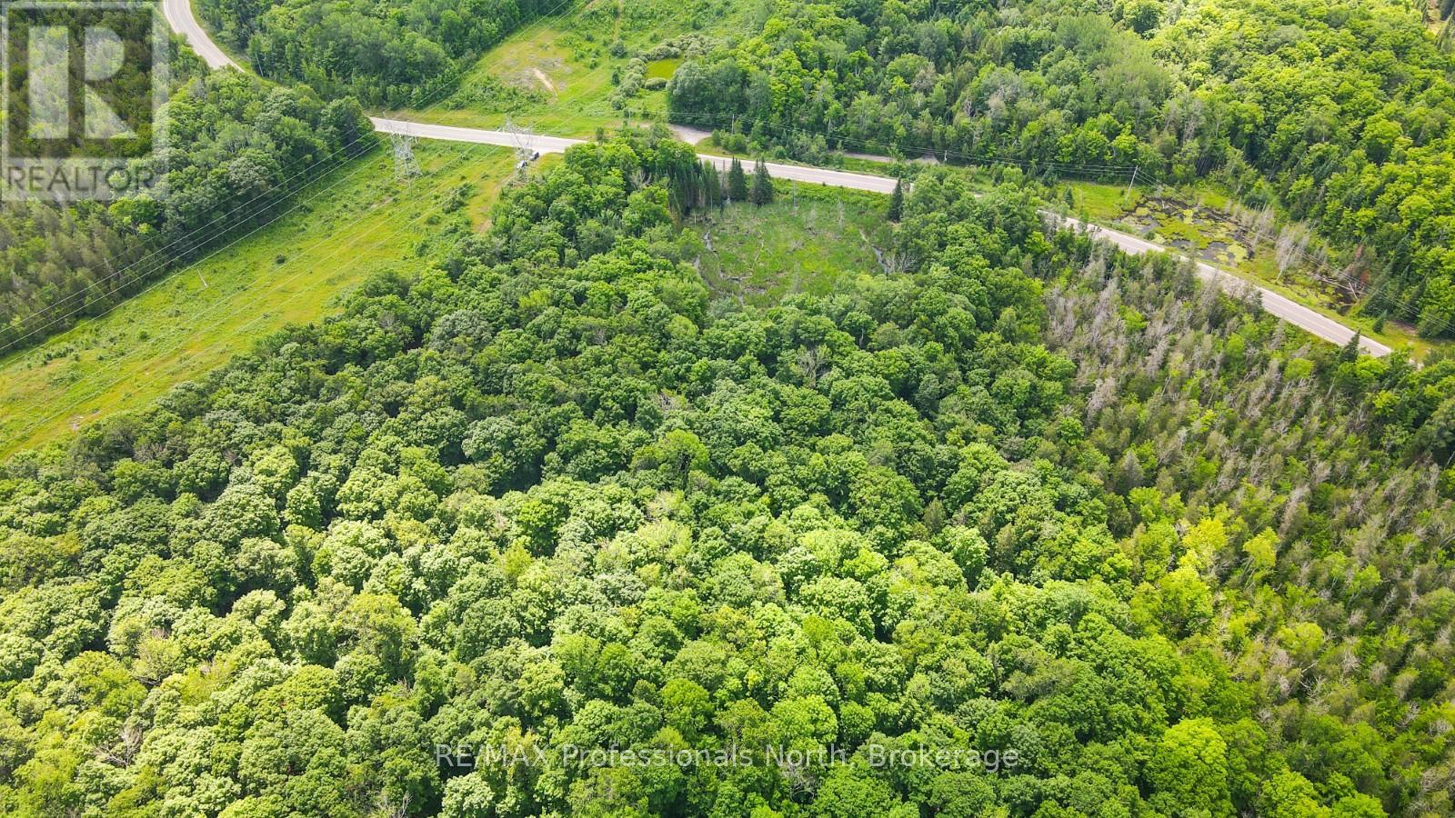 1645 South Lake Road, Minden Hills, Ontario  K0M 2K0 - Photo 1 - X12276604