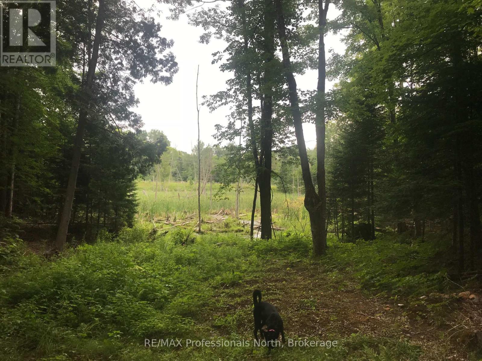 1645 South Lake Road, Minden Hills, Ontario  K0M 2K0 - Photo 14 - X12276604