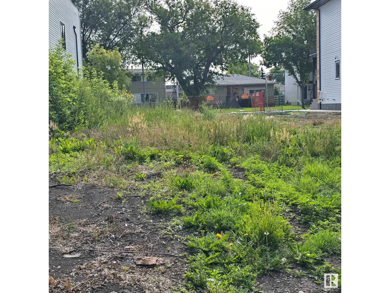 Property at 6064 106 STREET NW image 4