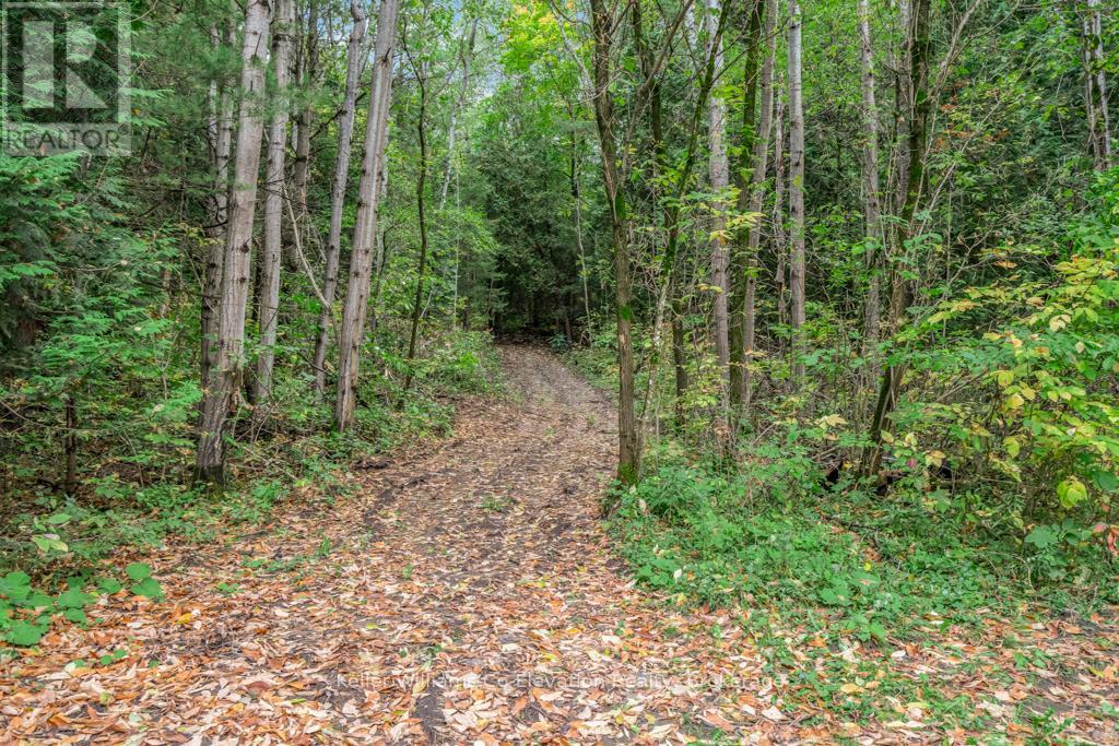 4060 10th Side Road, Bradford West Gwillimbury, Ontario  L3Z 3V2 - Photo 36 - N12276818