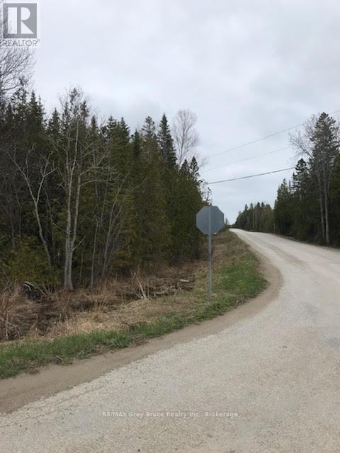 Pt Lt16 Bradley Drive, Northern Bruce Peninsula, Ontario  N0H 1Z0 - Photo 3 - X12277007
