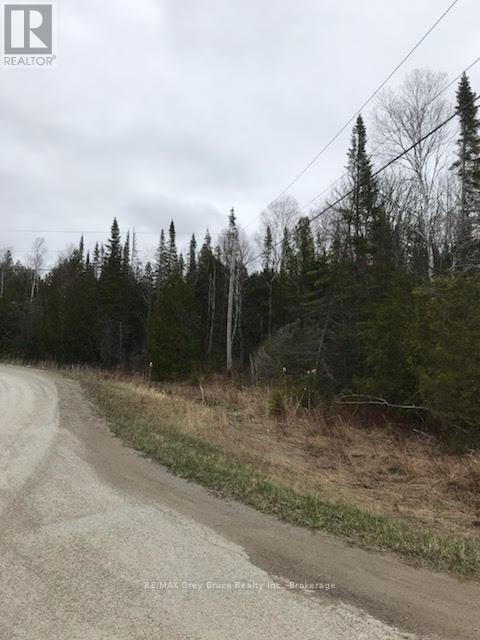 Pt Lt16 Bradley Drive, Northern Bruce Peninsula, Ontario  N0H 1Z0 - Photo 4 - X12277007