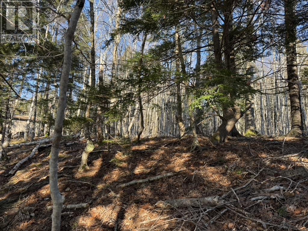 Lot Conquerall Mills Road, Hebbville, Nova Scotia  B4V 6A3 - Photo 2 - 202517257